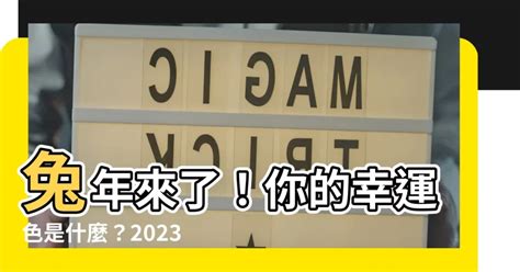 2023兔年幸運色|2023兔年十二生肖幸運色公開！日本命理師揭密3顏色。